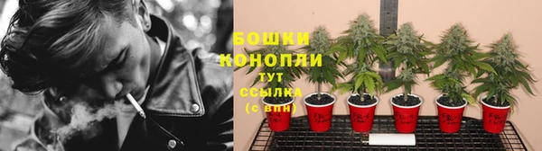 трава Волосово