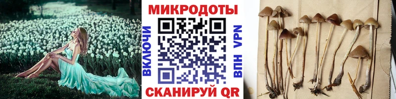 дарнет шоп  Магнитогорск  Галлюциногенные грибы ЛСД 